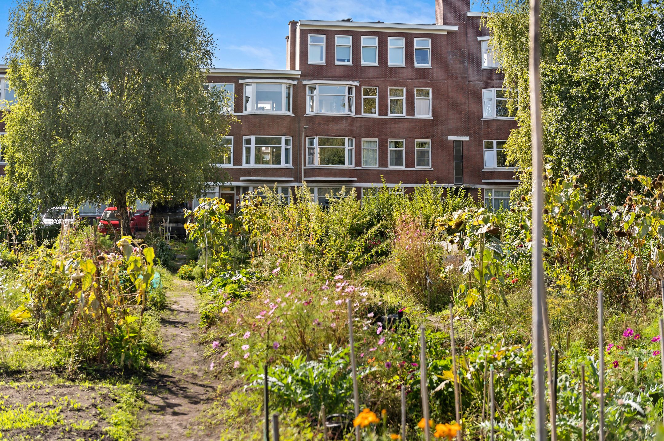 Foto van Kornoeljestraat 158, Den Haag