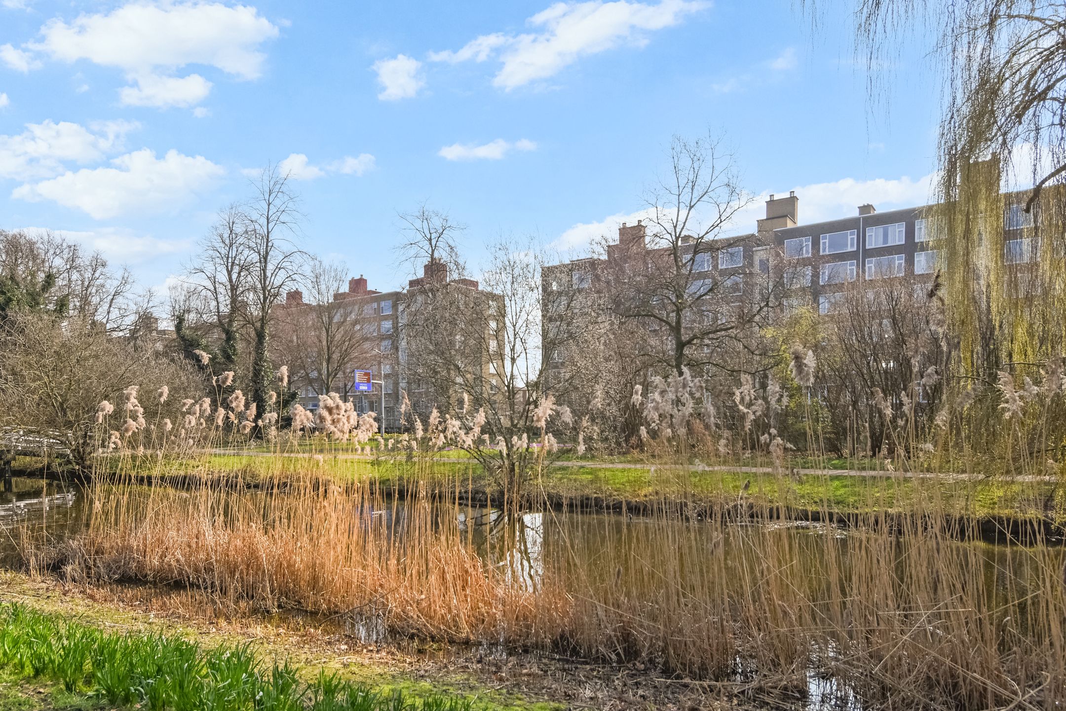 Foto van Segbroeklaan 238, Den Haag