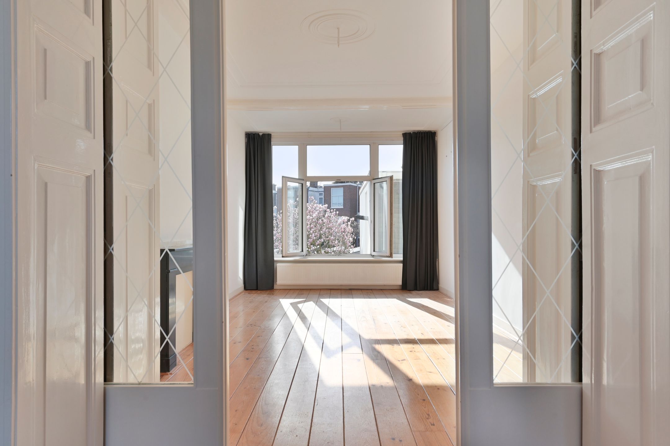 Foto van François Maelsonstraat 14, Den Haag