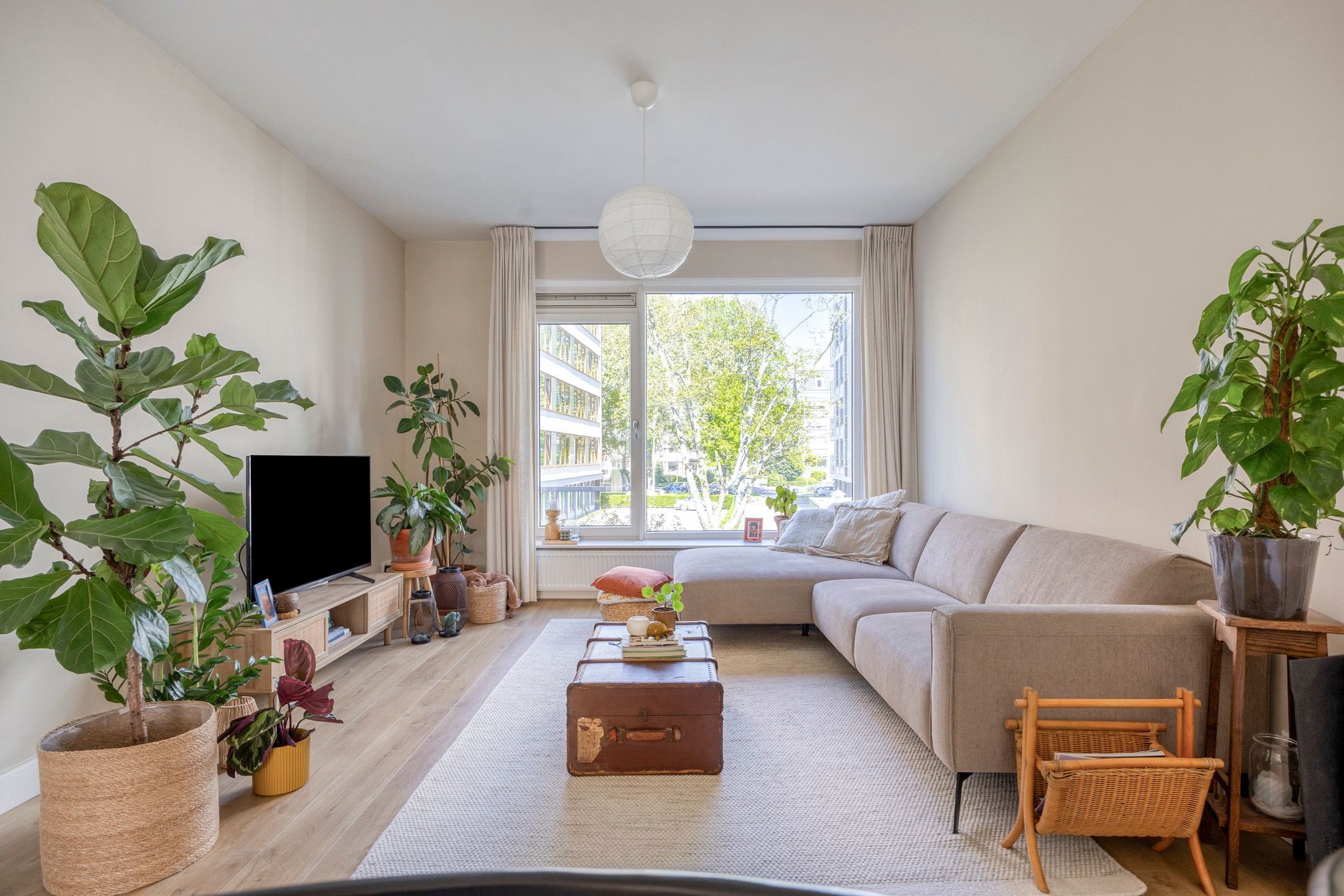 Foto van Wilhelminastraat 111, Den Haag