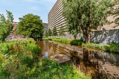 Foto van Hendrik Tollensstraat 250, Delft
