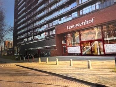 Foto van Aart van der Leeuwlaan 185, Delft