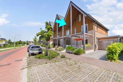 Foto van Aalscholver 8, Pijnacker