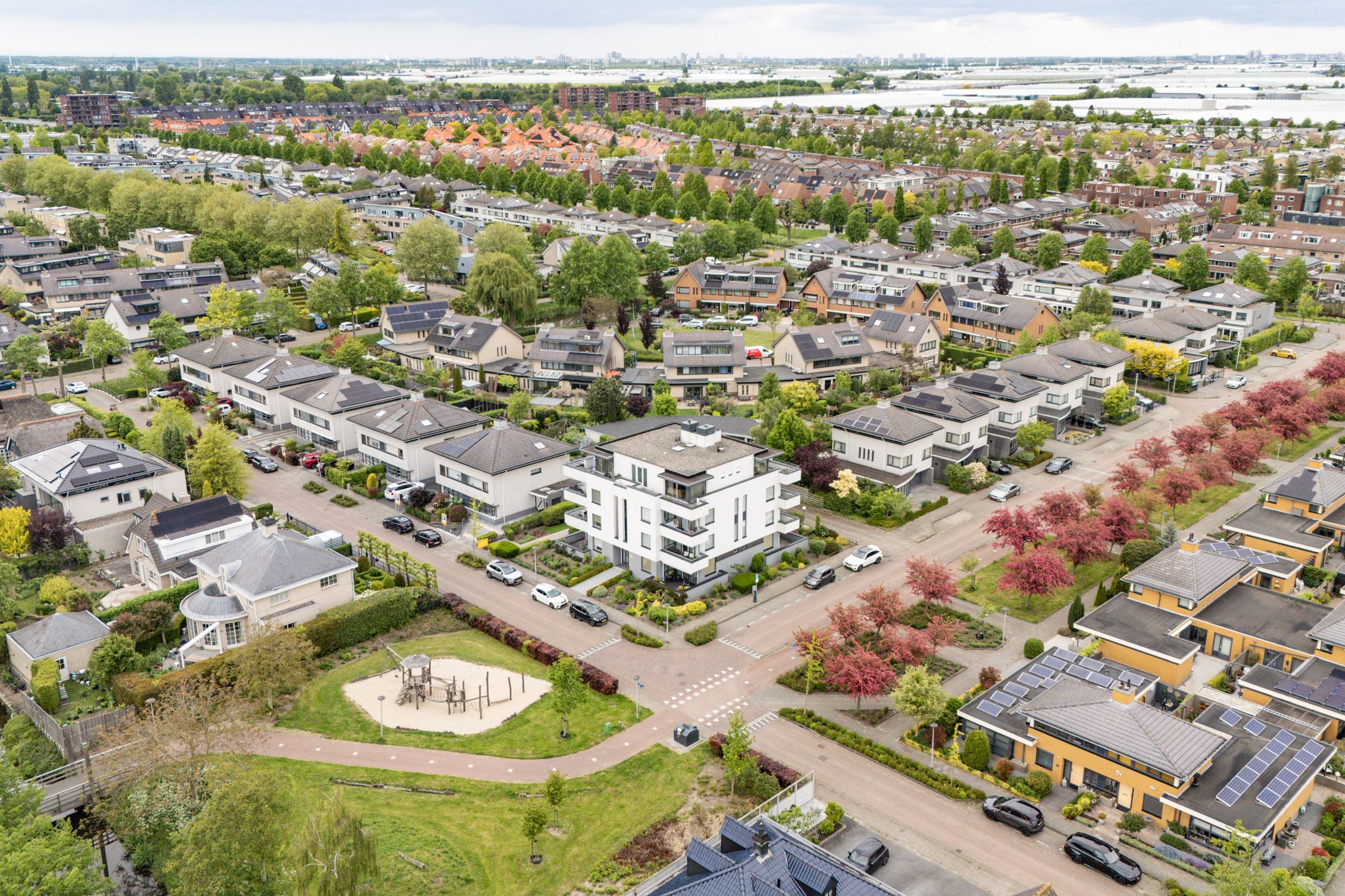 Foto van Steenbreekvaren 34, Bergschenhoek