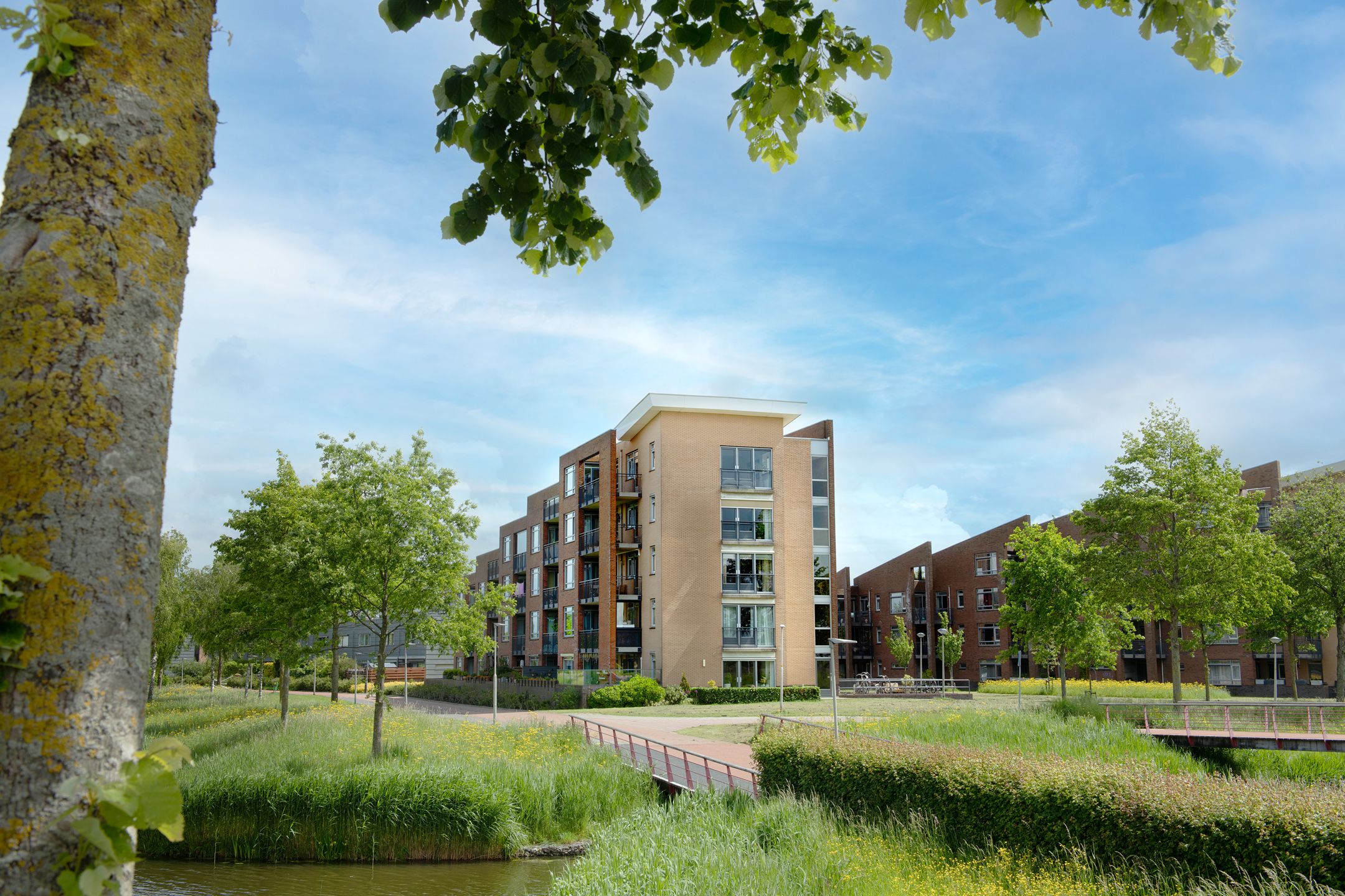 Foto van Manderhof 15, Bergschenhoek