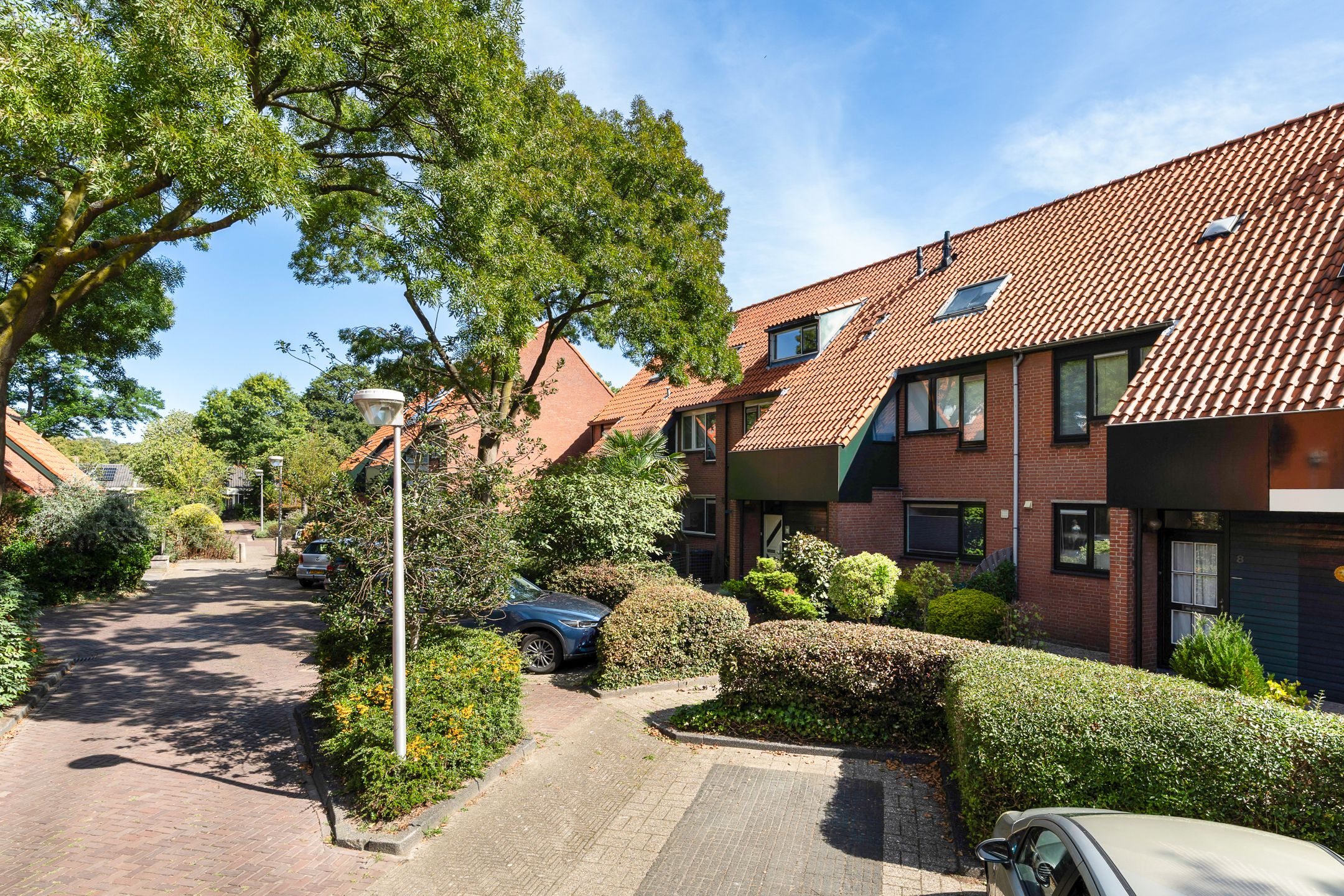 Foto van Paardenbloem 12, Naaldwijk