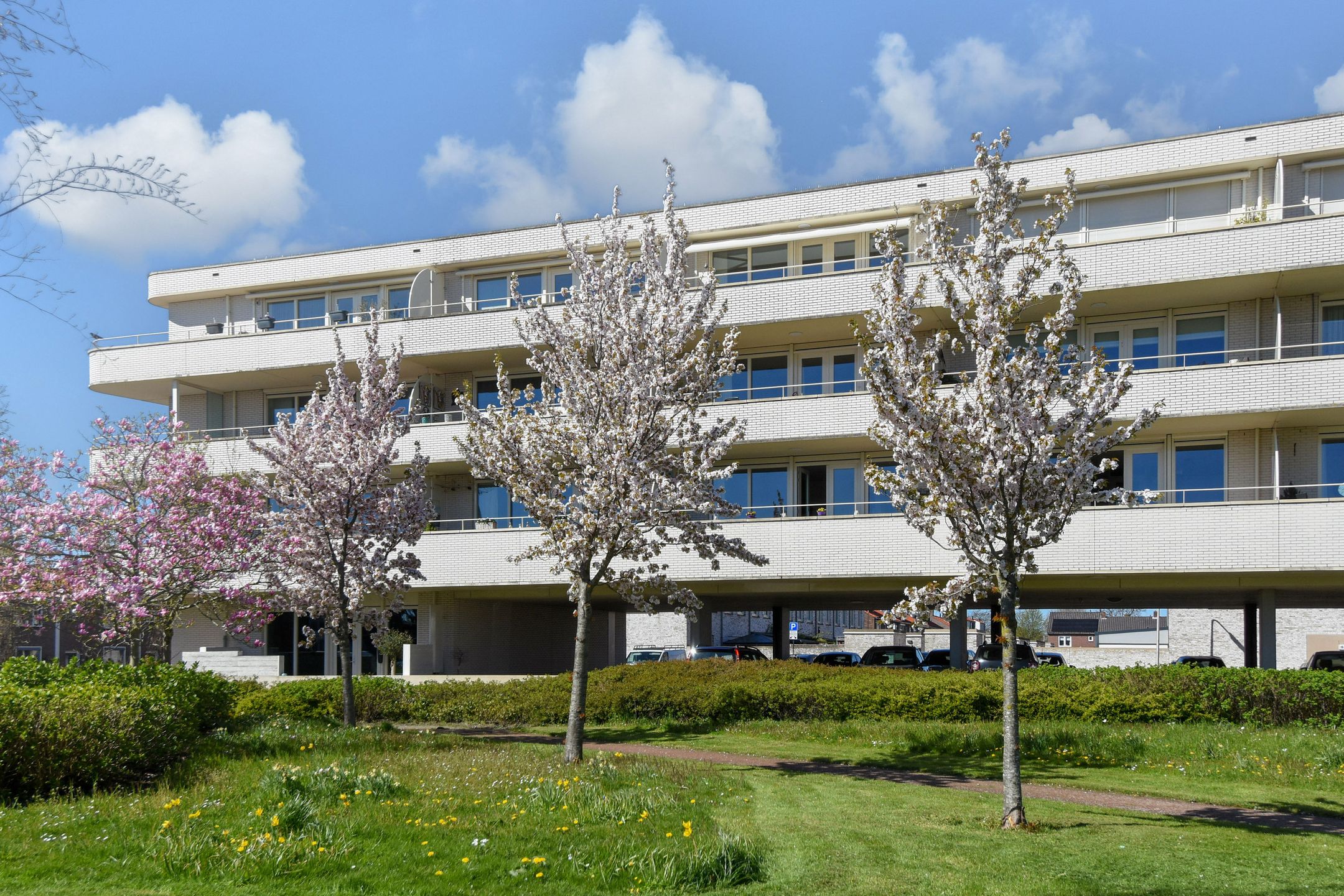 Foto van van den Binckhorststraat 36, 's-Gravenzande