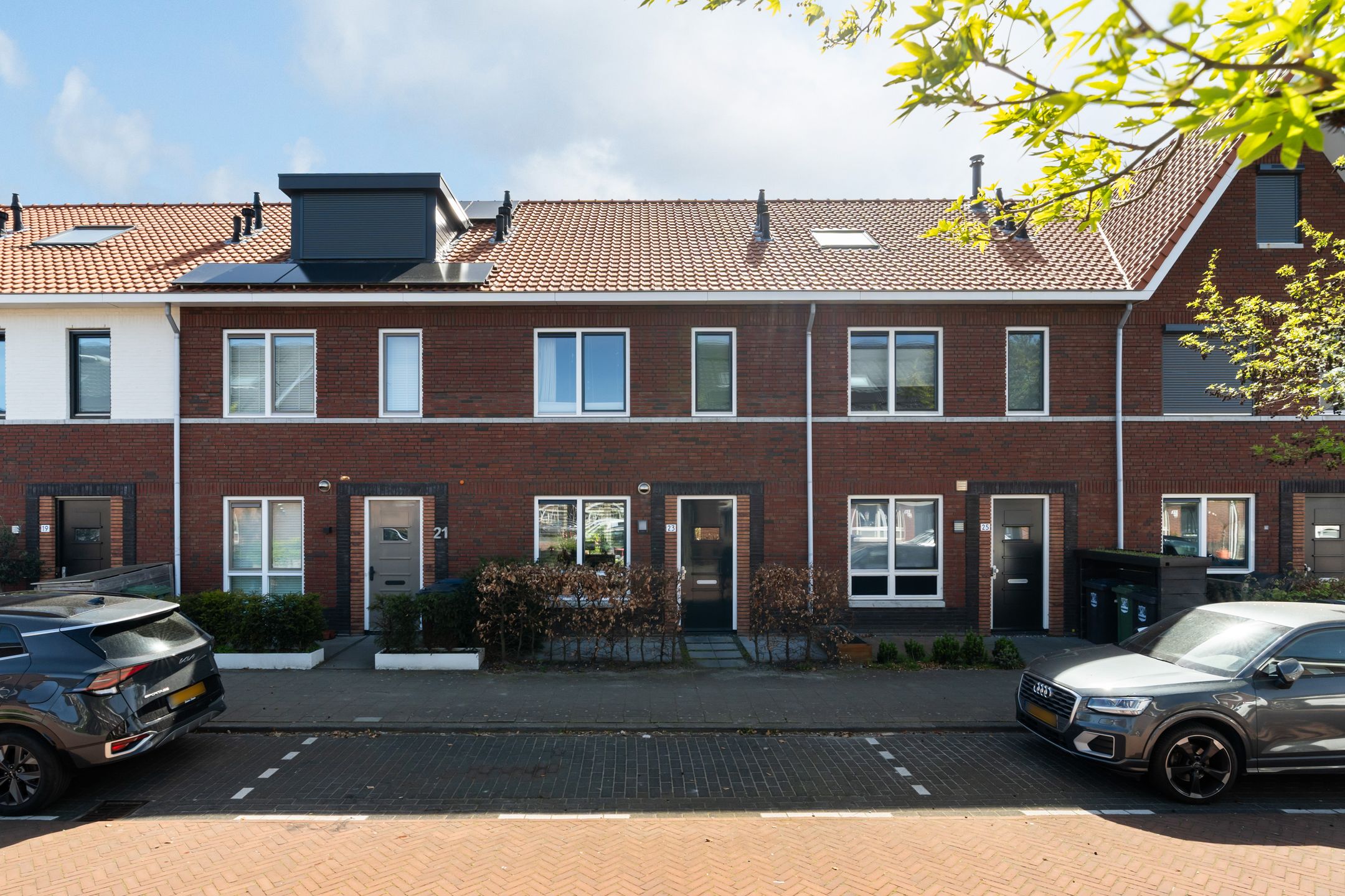 Foto van Citroenvlinder 23, 's-Gravenzande
