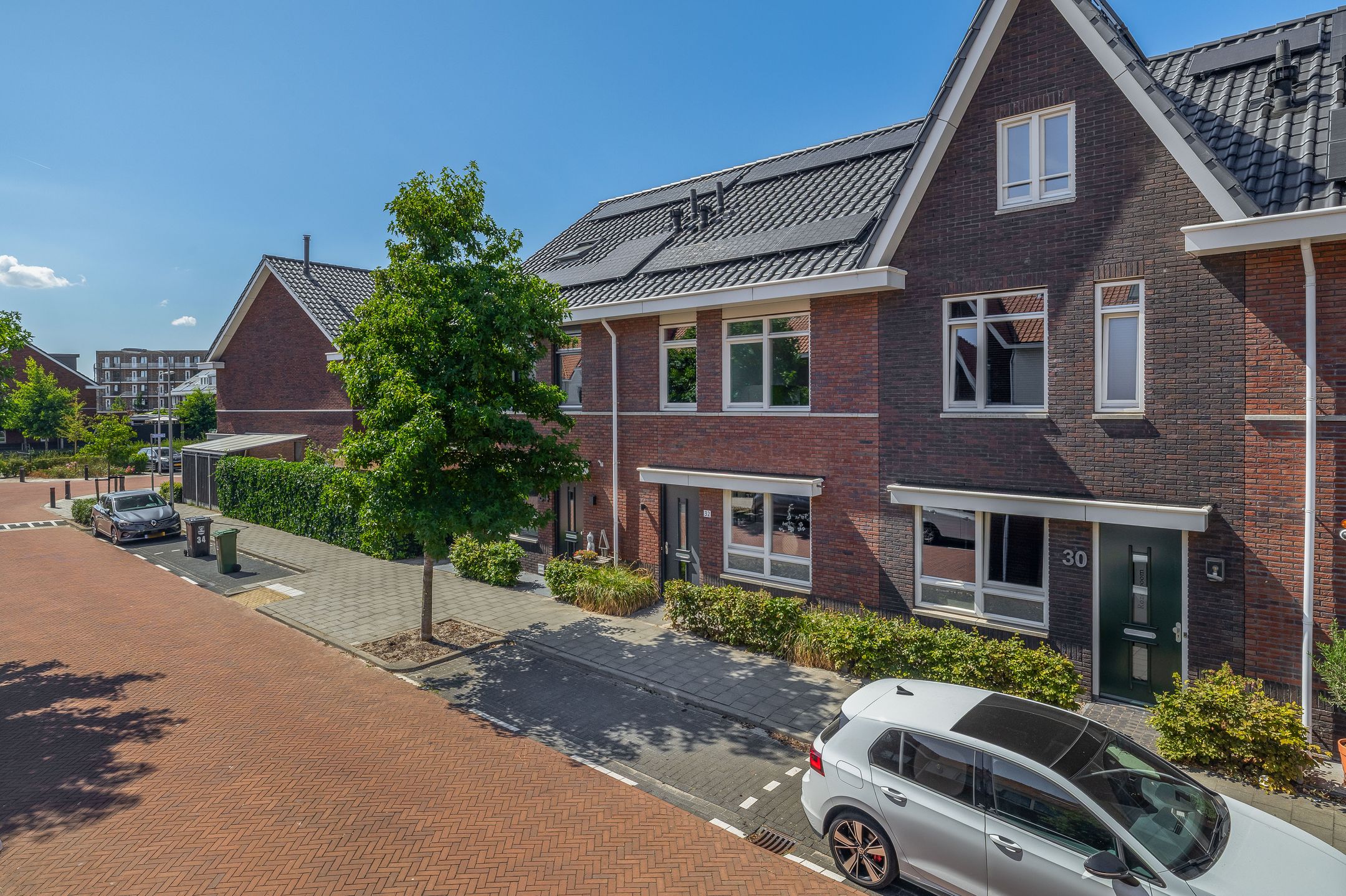 Foto van Citroenvlinder 32, 's-Gravenzande