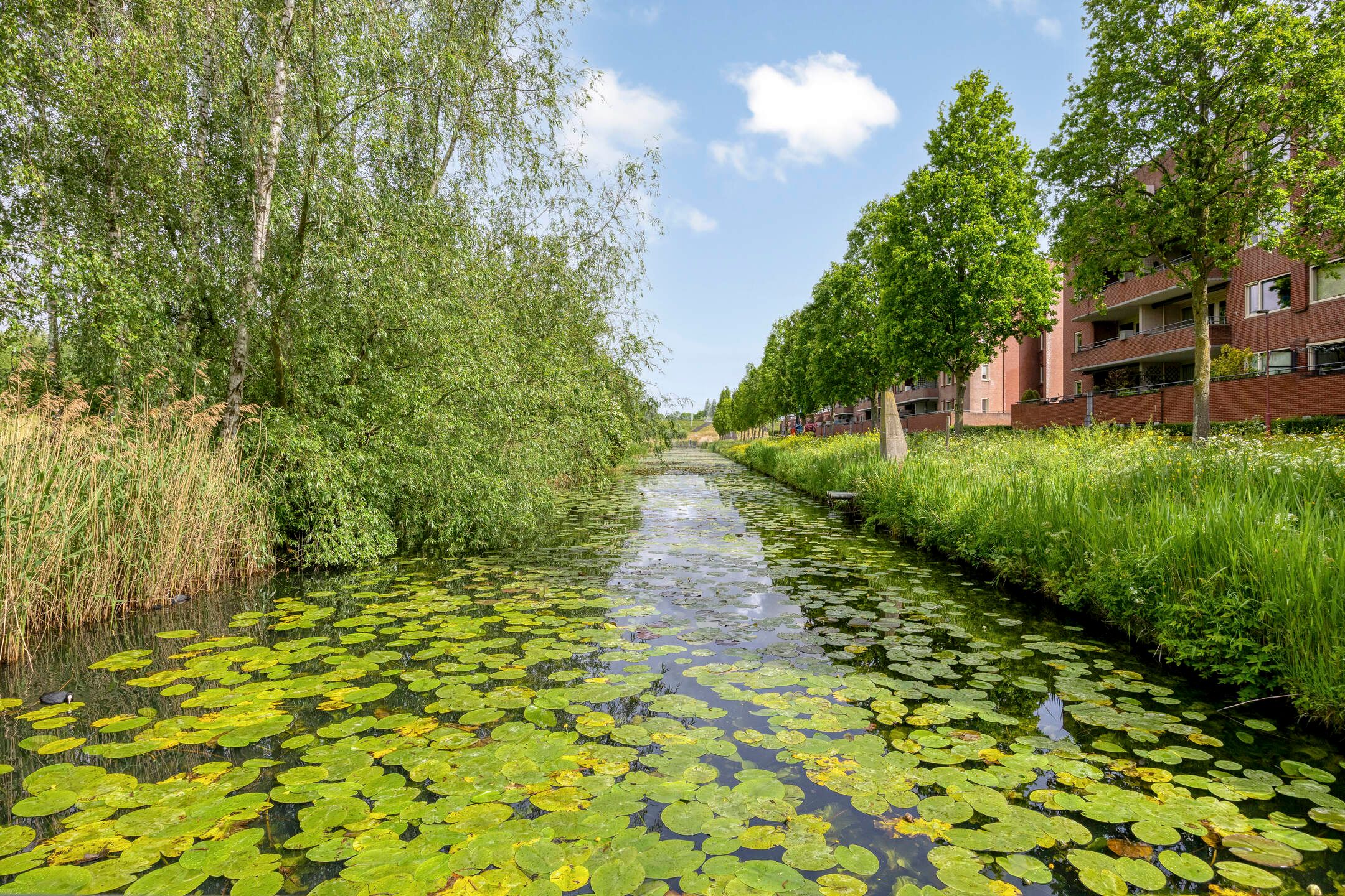 Foto van Essehout 46, Zoetermeer