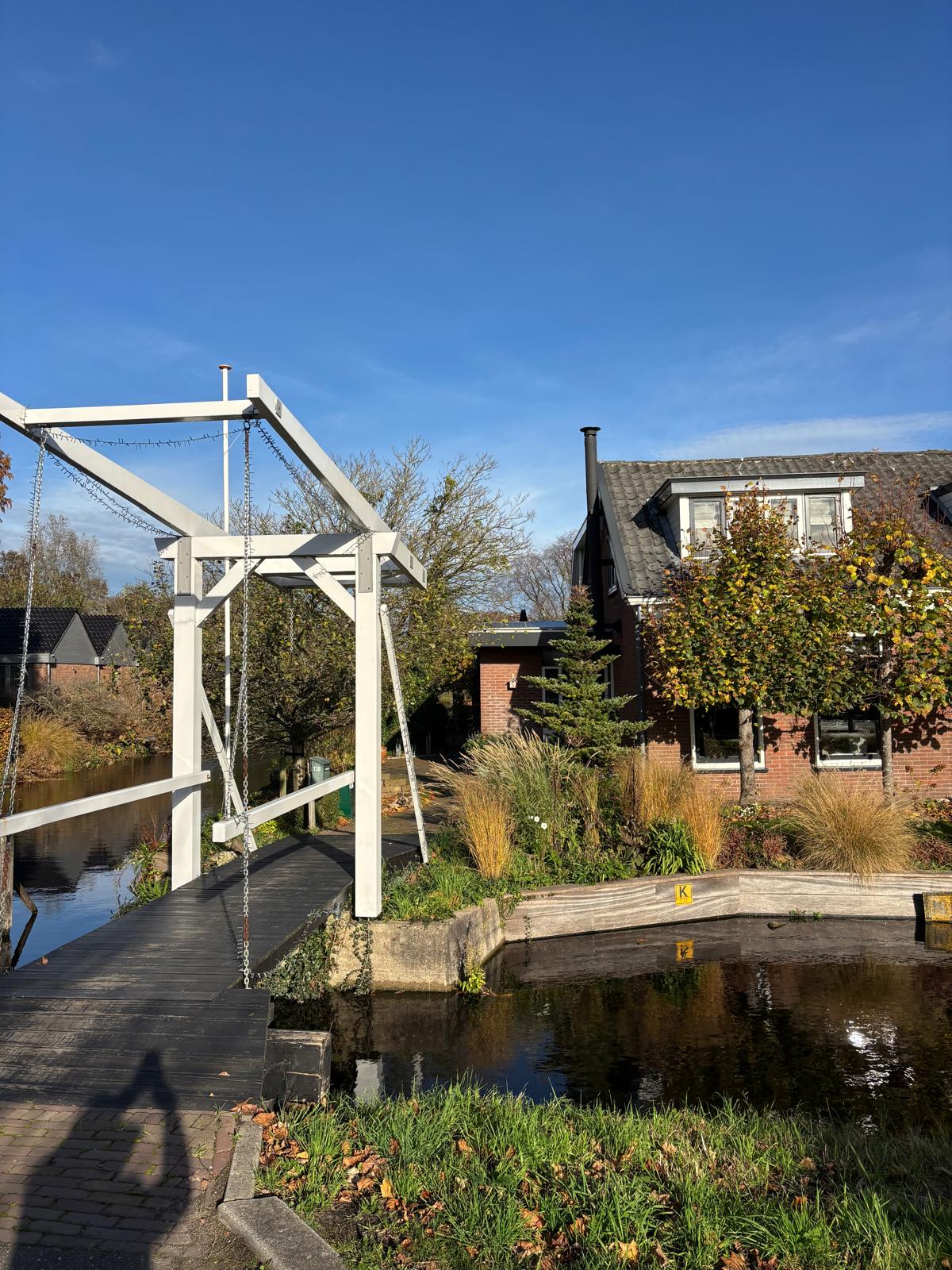 Foto van Reijerskoop 138, Boskoop