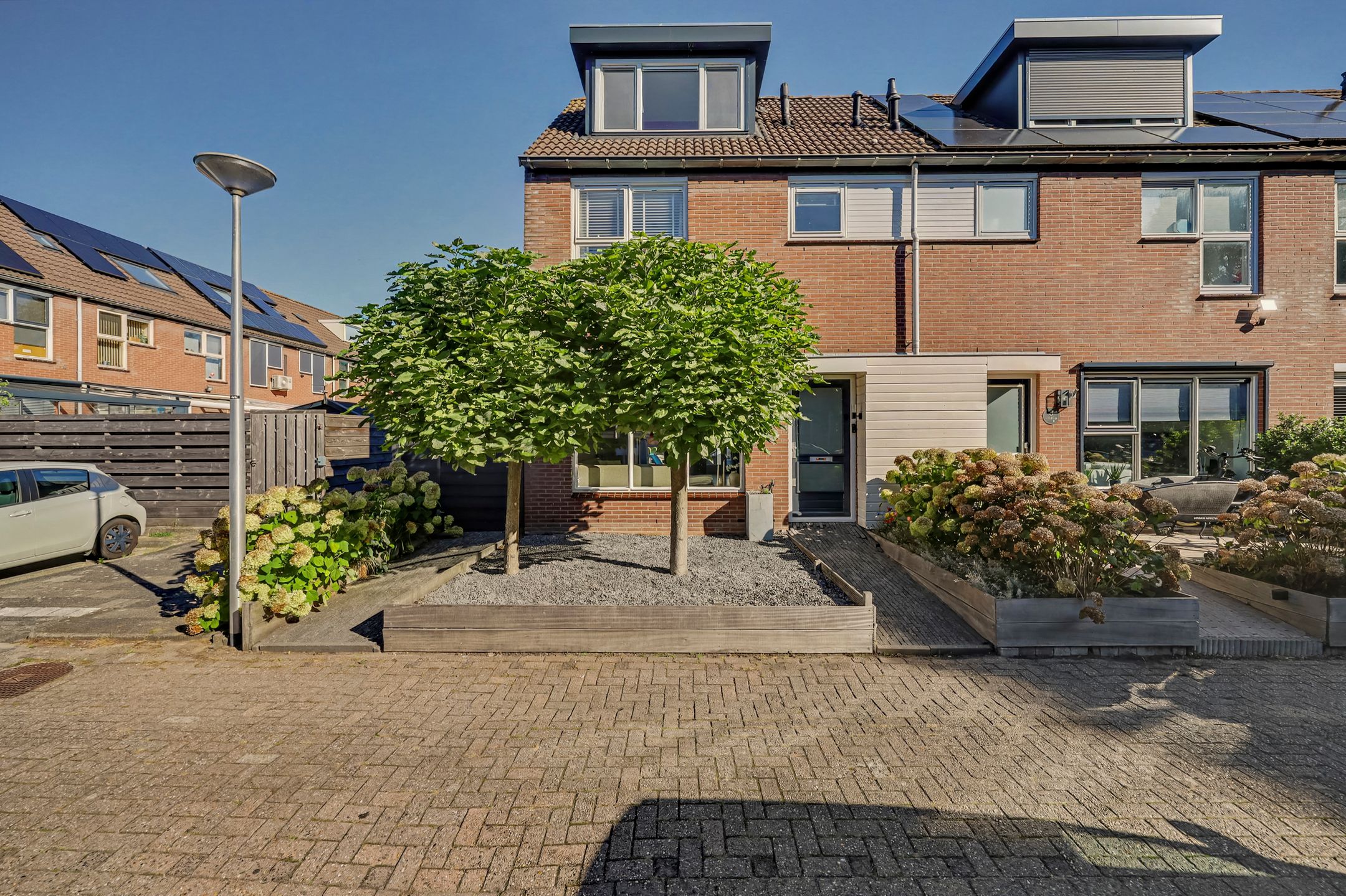 Foto van Wollegras 1, Reeuwijk
