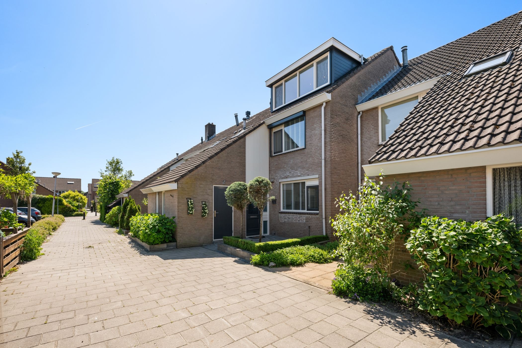 Foto van Schijfmos 21, Nieuwerkerk aan den IJssel