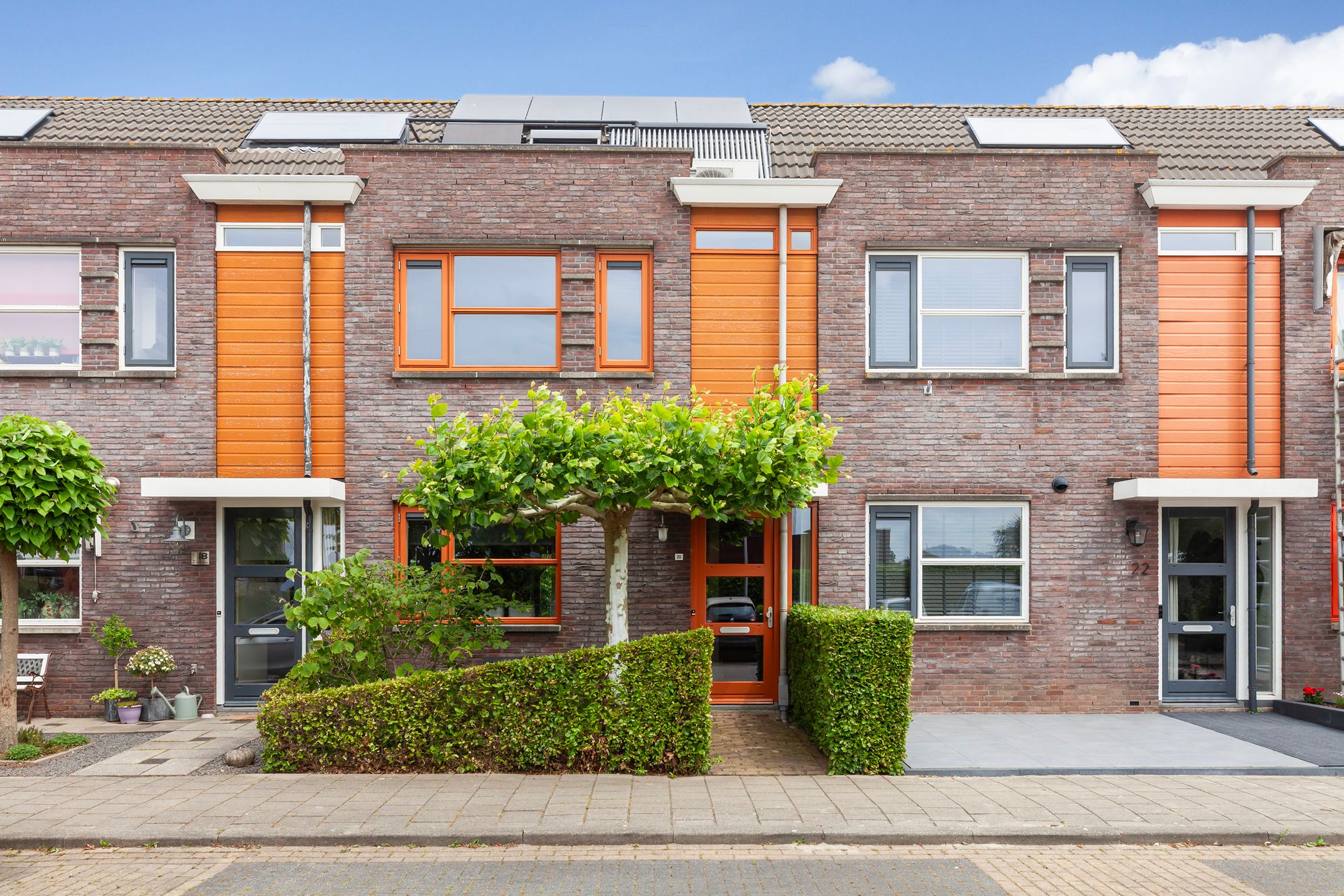 Foto van Kamperfoelie 20, Brandwijk