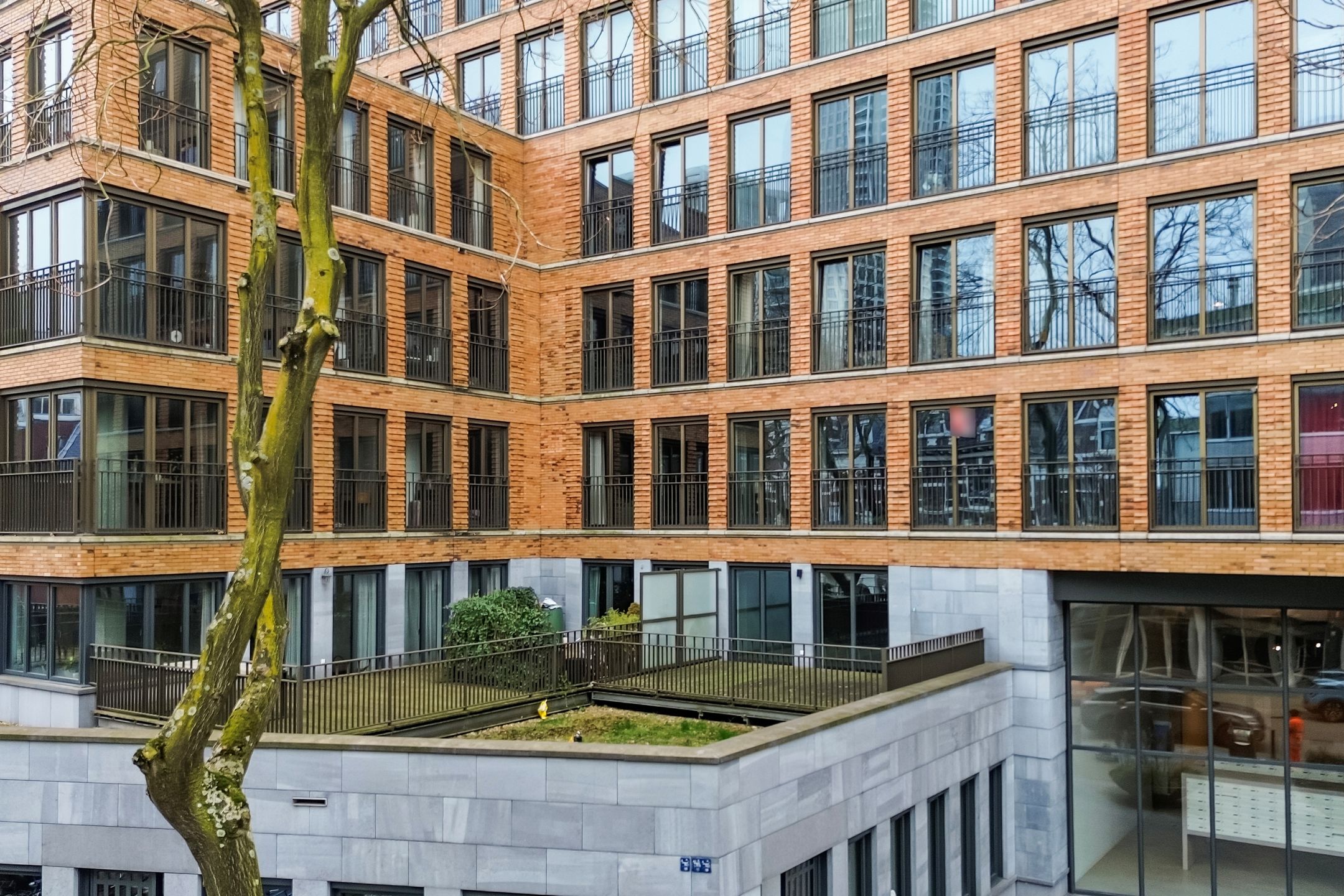 Foto van Van Vollenhovenstraat 3101, Rotterdam