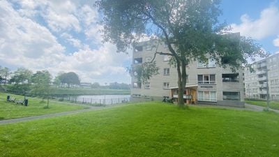 Foto van Gekroonde Haringpad 56, Rotterdam