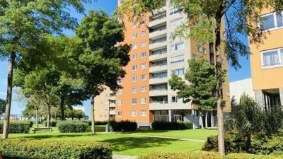 Foto van Speedwellstraat 254, Rotterdam