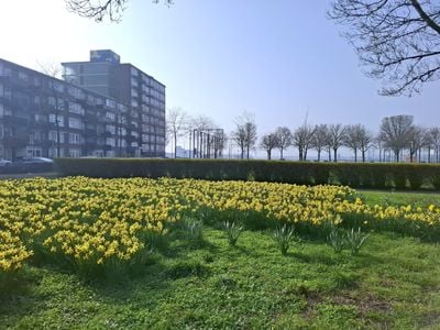 Foto van Mayflowerstraat 186, Rotterdam Portiekwoning