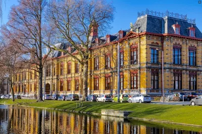 Foto van Noordsingel 113S, Rotterdam
