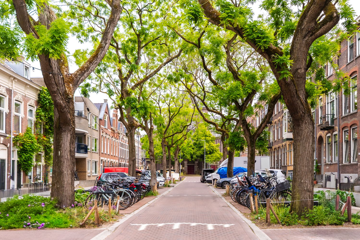 Foto van Blommersdijkselaan 38A, Rotterdam