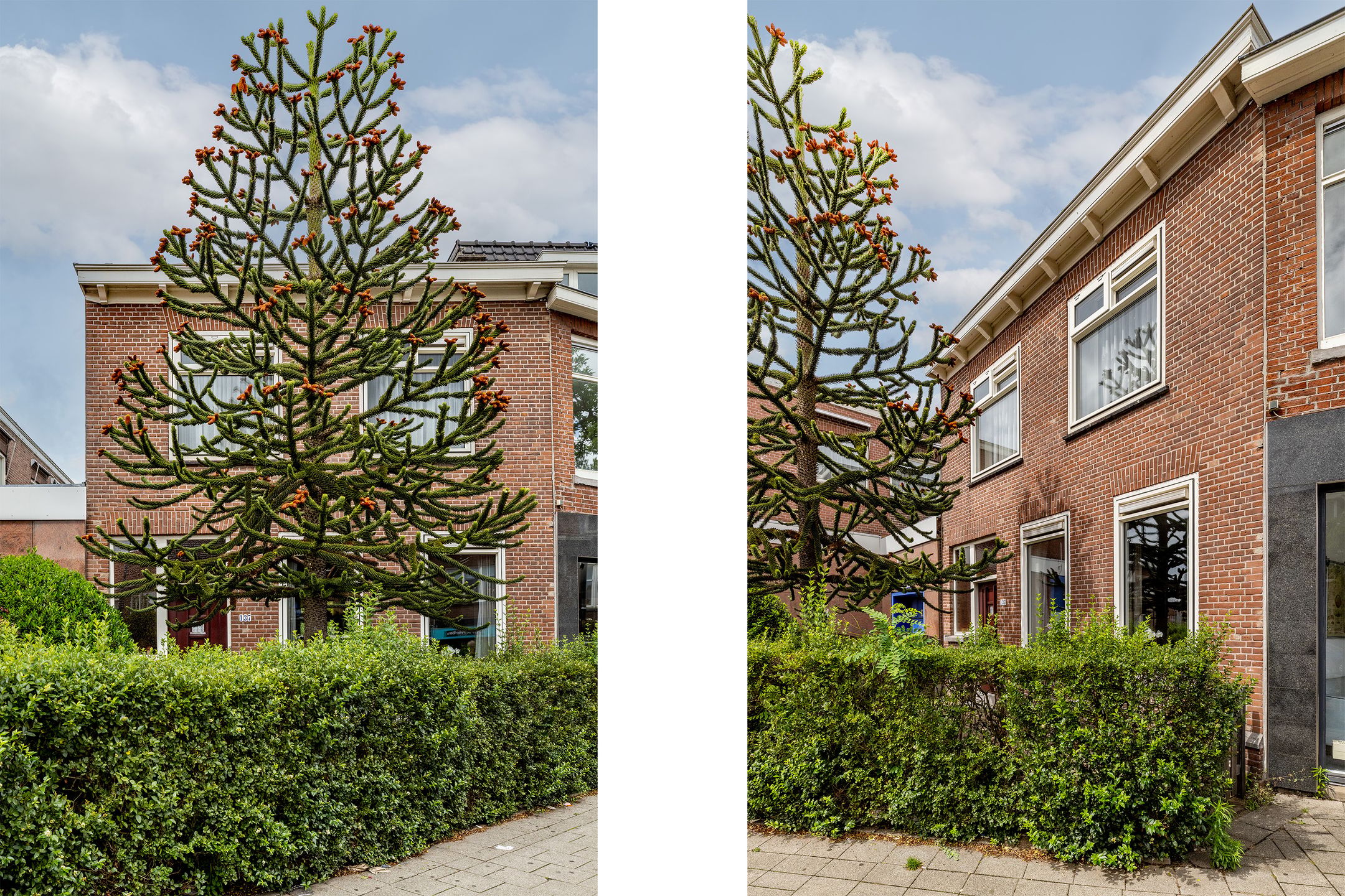 Foto van Kleiweg 137, Rotterdam