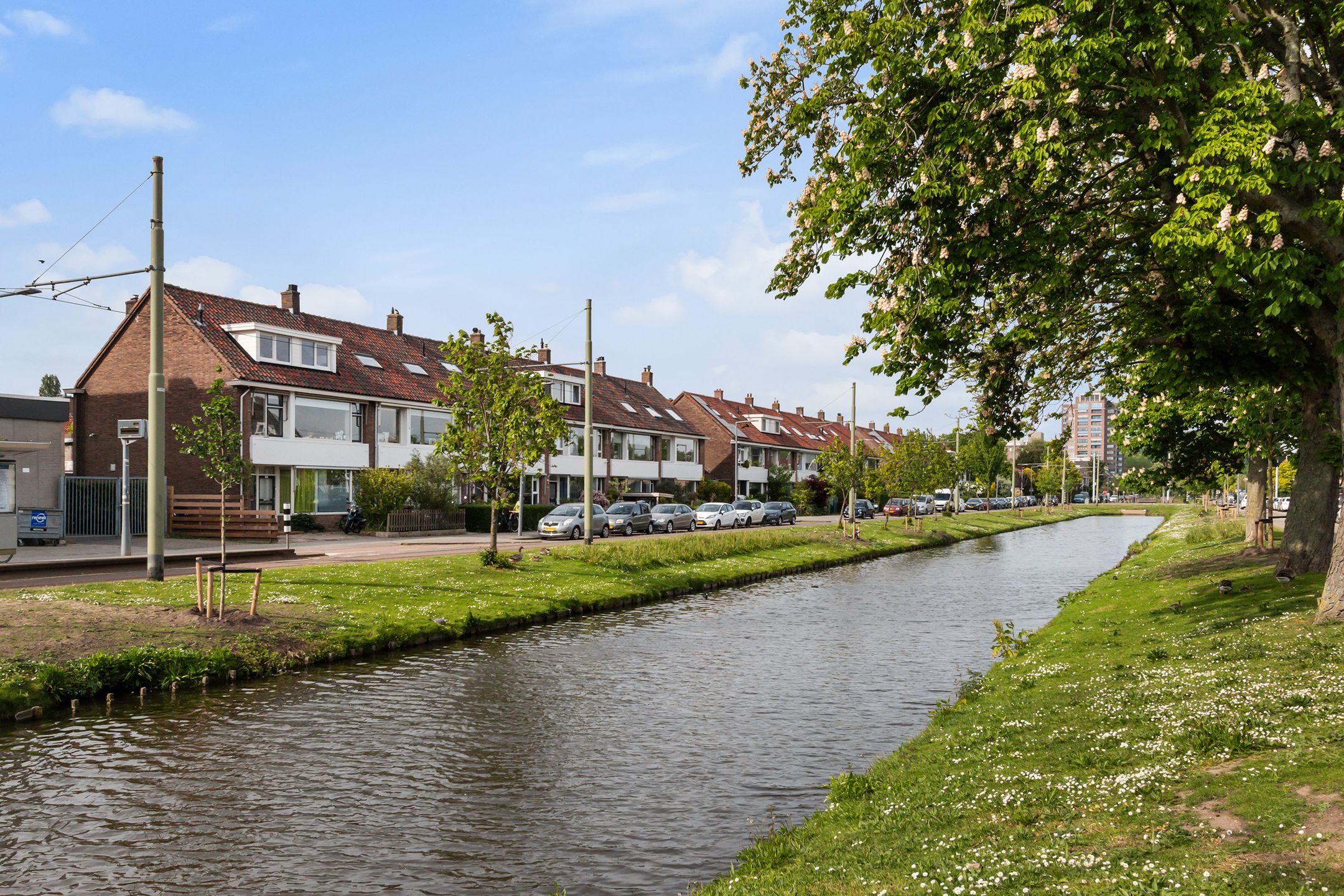 Foto van Kastanjesingel 95B, Rotterdam