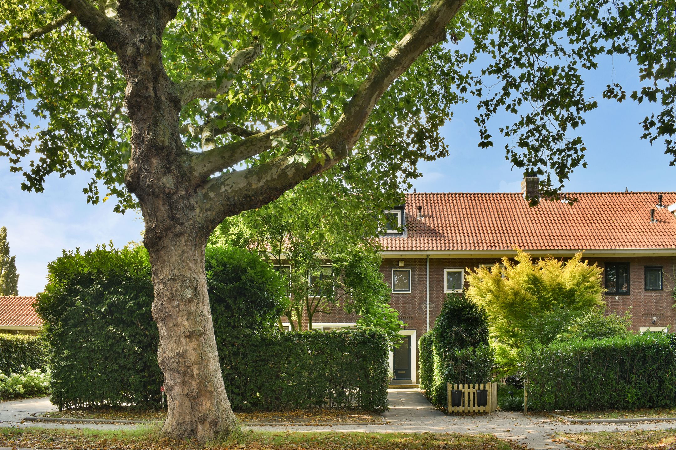 Foto van Molenlaan 258, Rotterdam