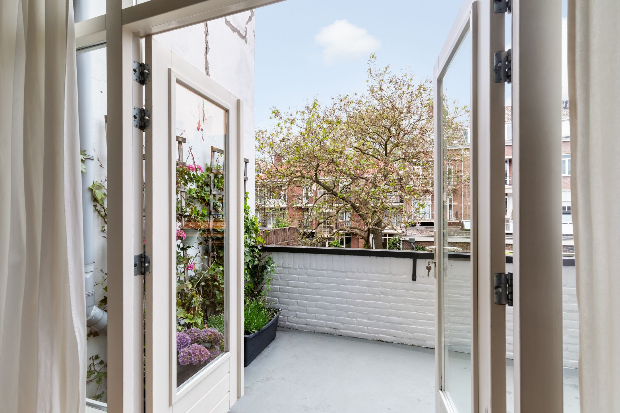 Foto van Waterloostraat 43B, Rotterdam
