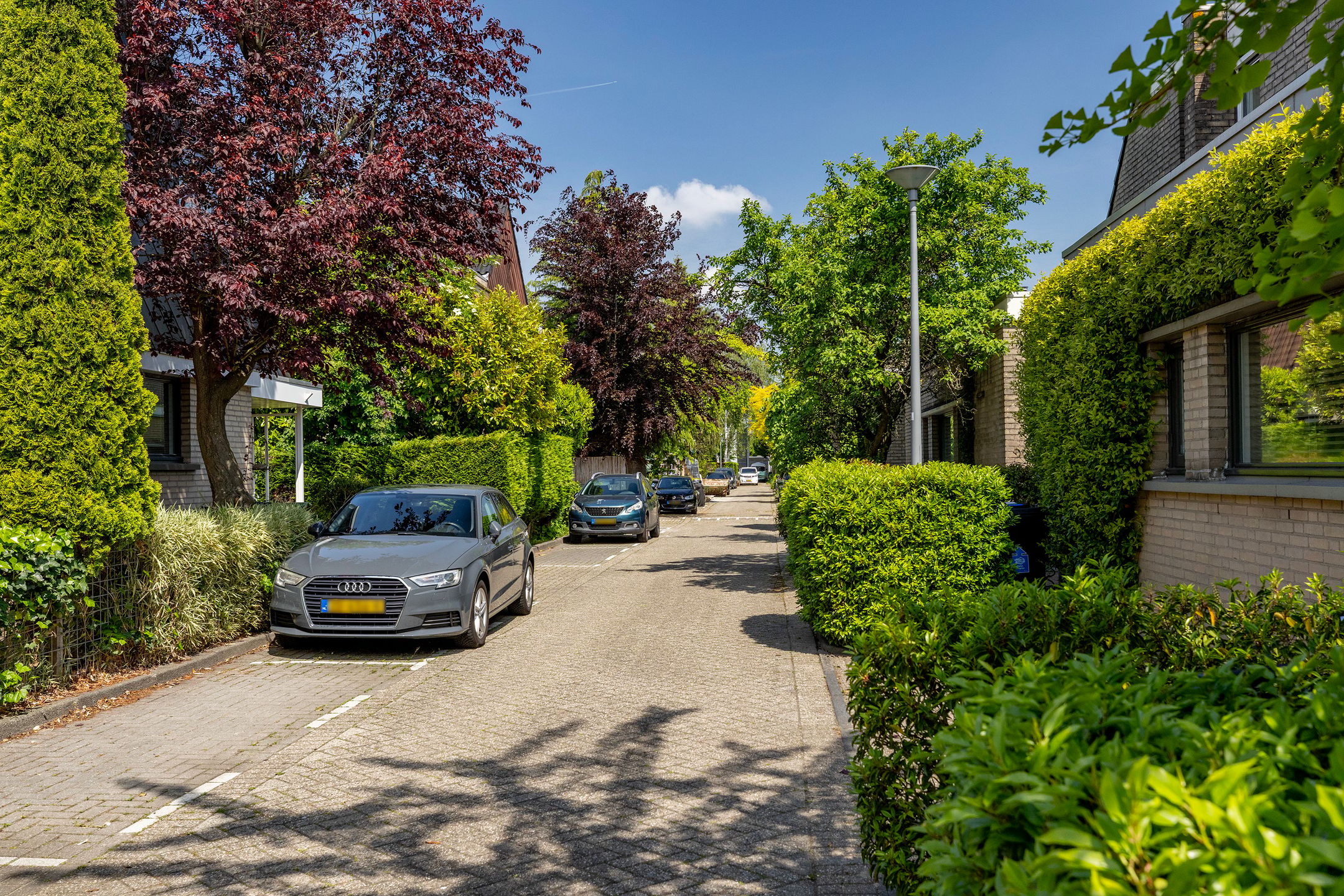 Foto van Ogier van Cralingenpark 56, Rotterdam