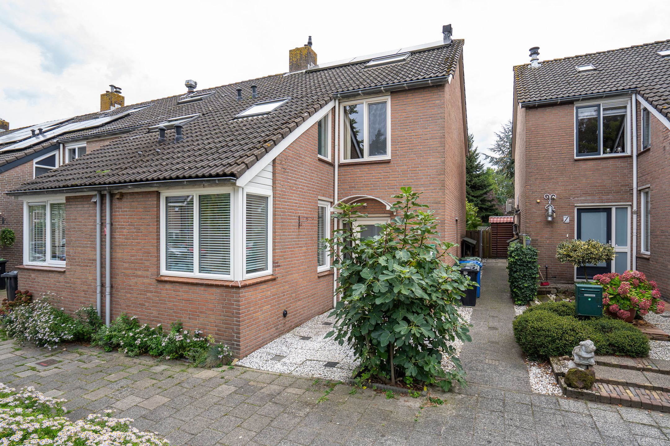 Foto van Rupsklaver 106, Rotterdam
