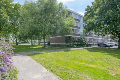 Foto van Plotinusstraat 114, Rotterdam