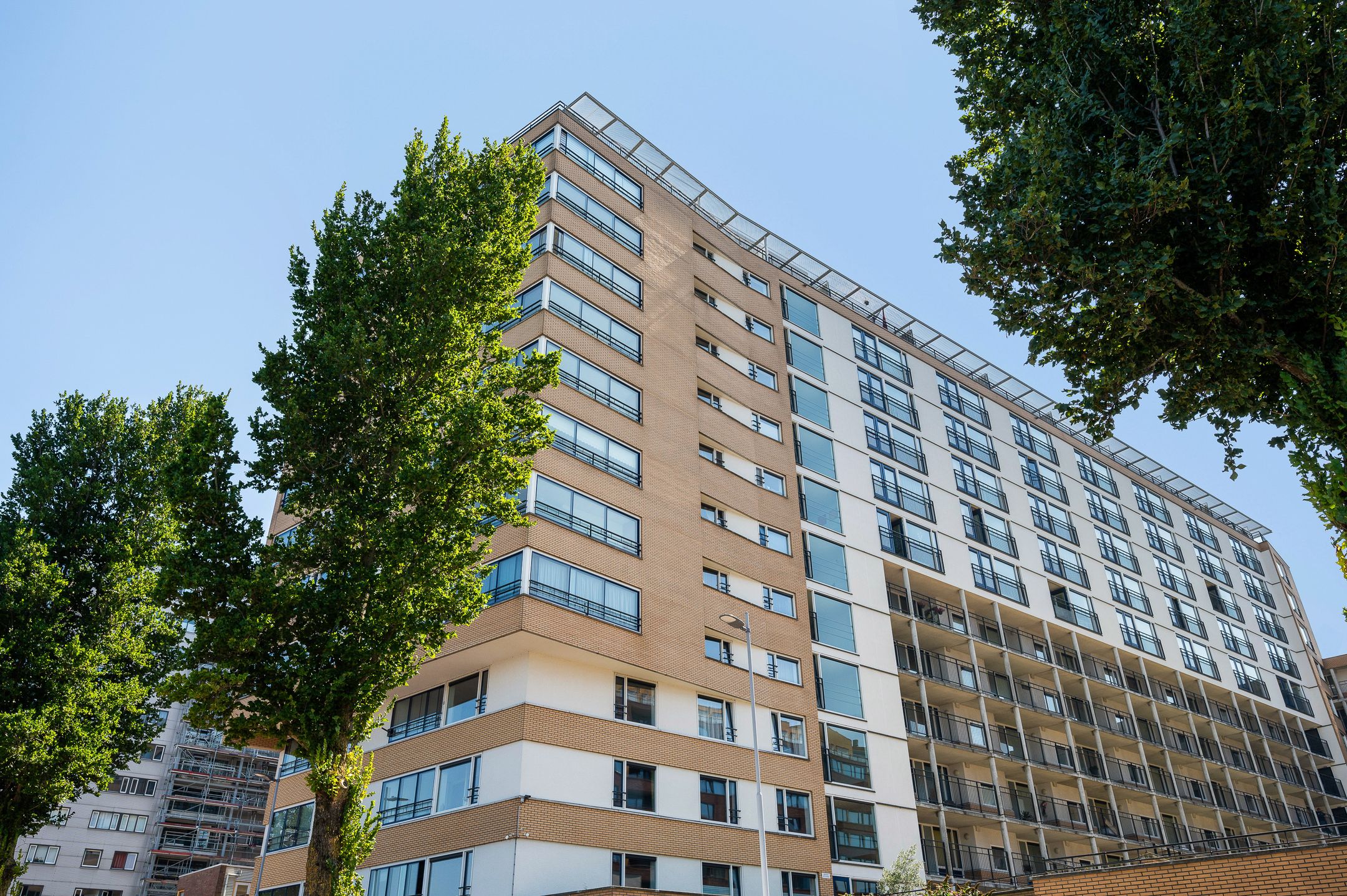 Foto van Adriaan Kooningsstraat 128, Rotterdam