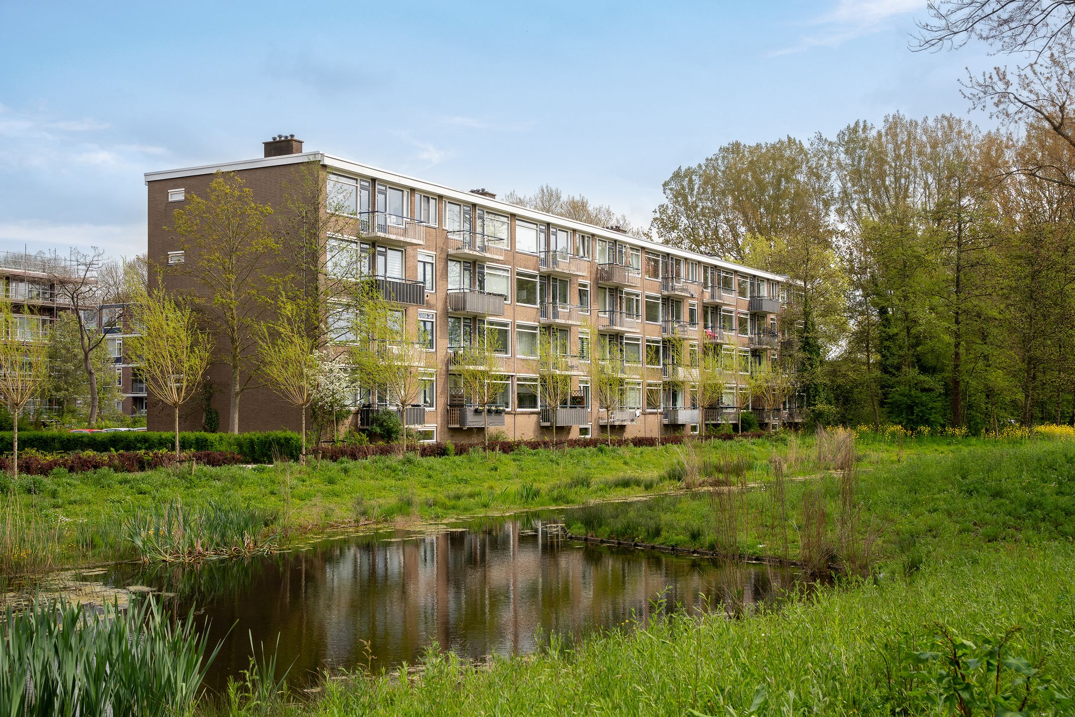 Foto van Quadenoord 276, Rotterdam