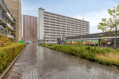 Foto van Plein 1953145, Rotterdam