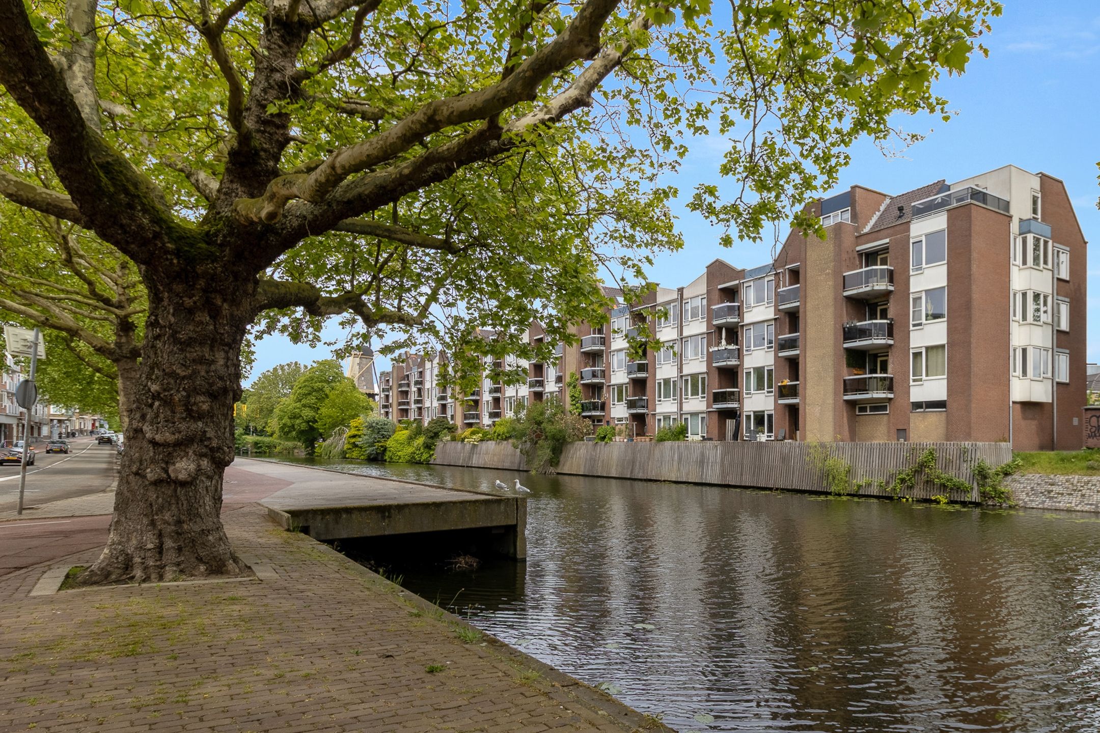 Foto van Westvest 245, Schiedam