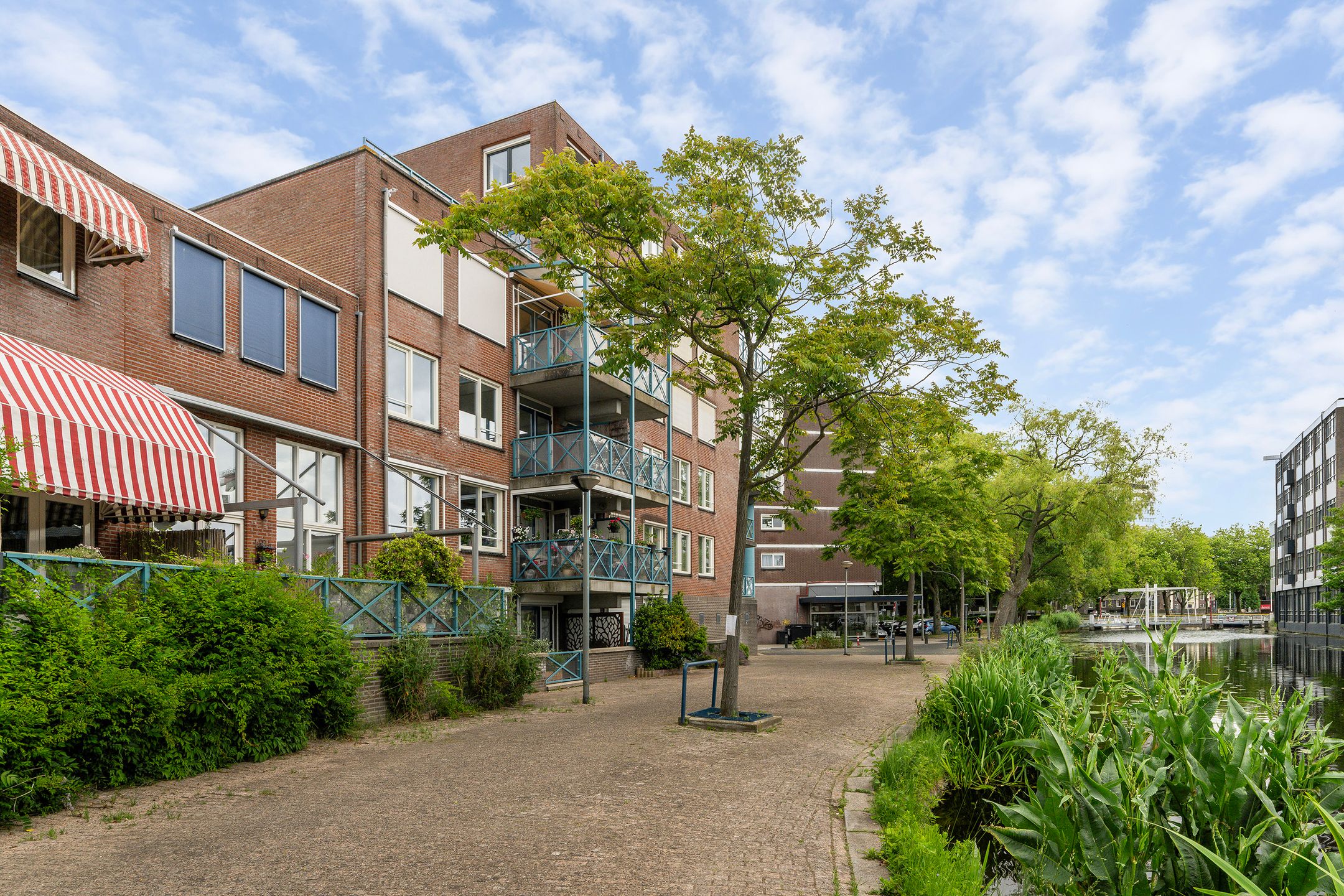 Foto van Alphons Ariënsstraat 186, Schiedam