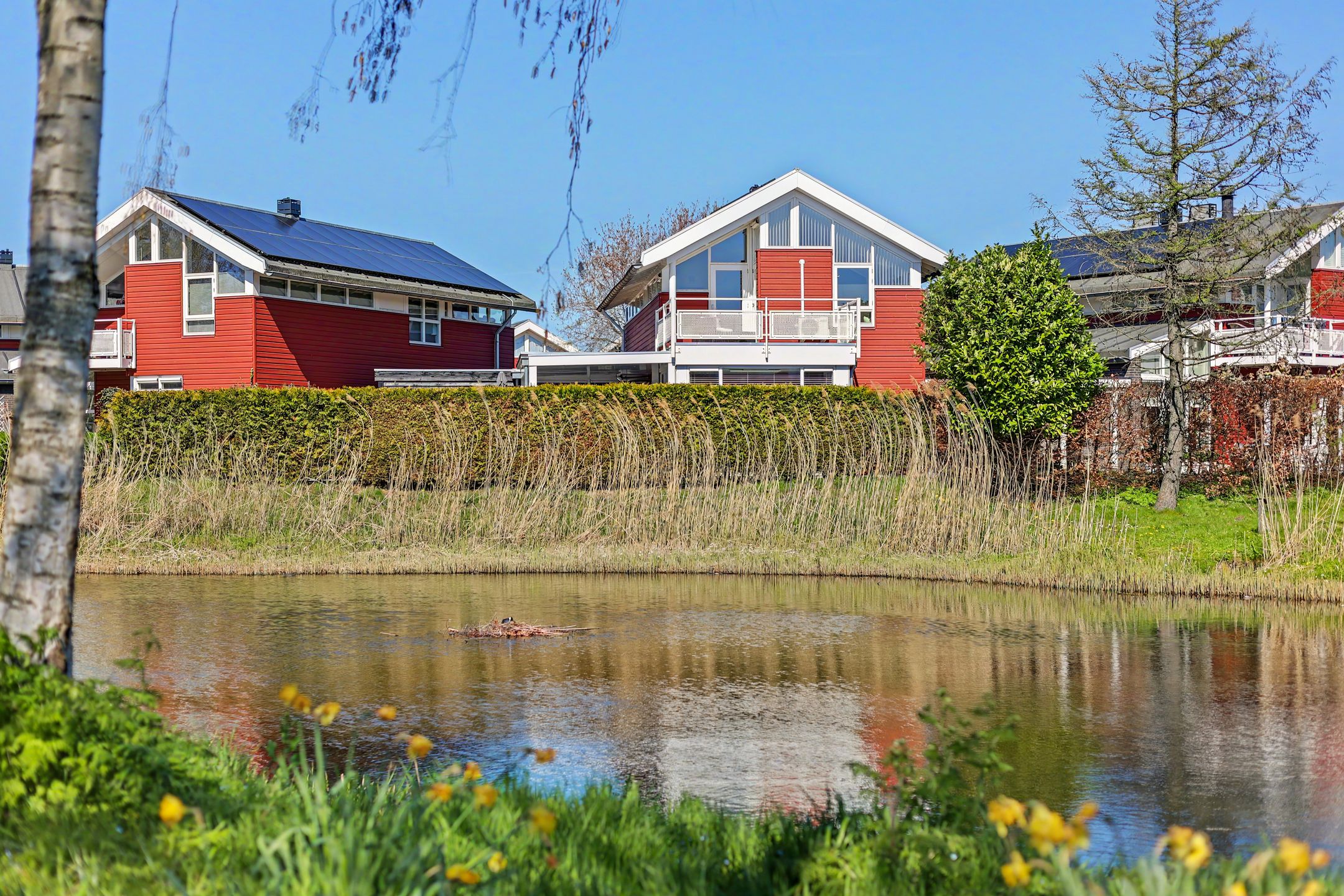 Foto van Umefors 8, Schiedam