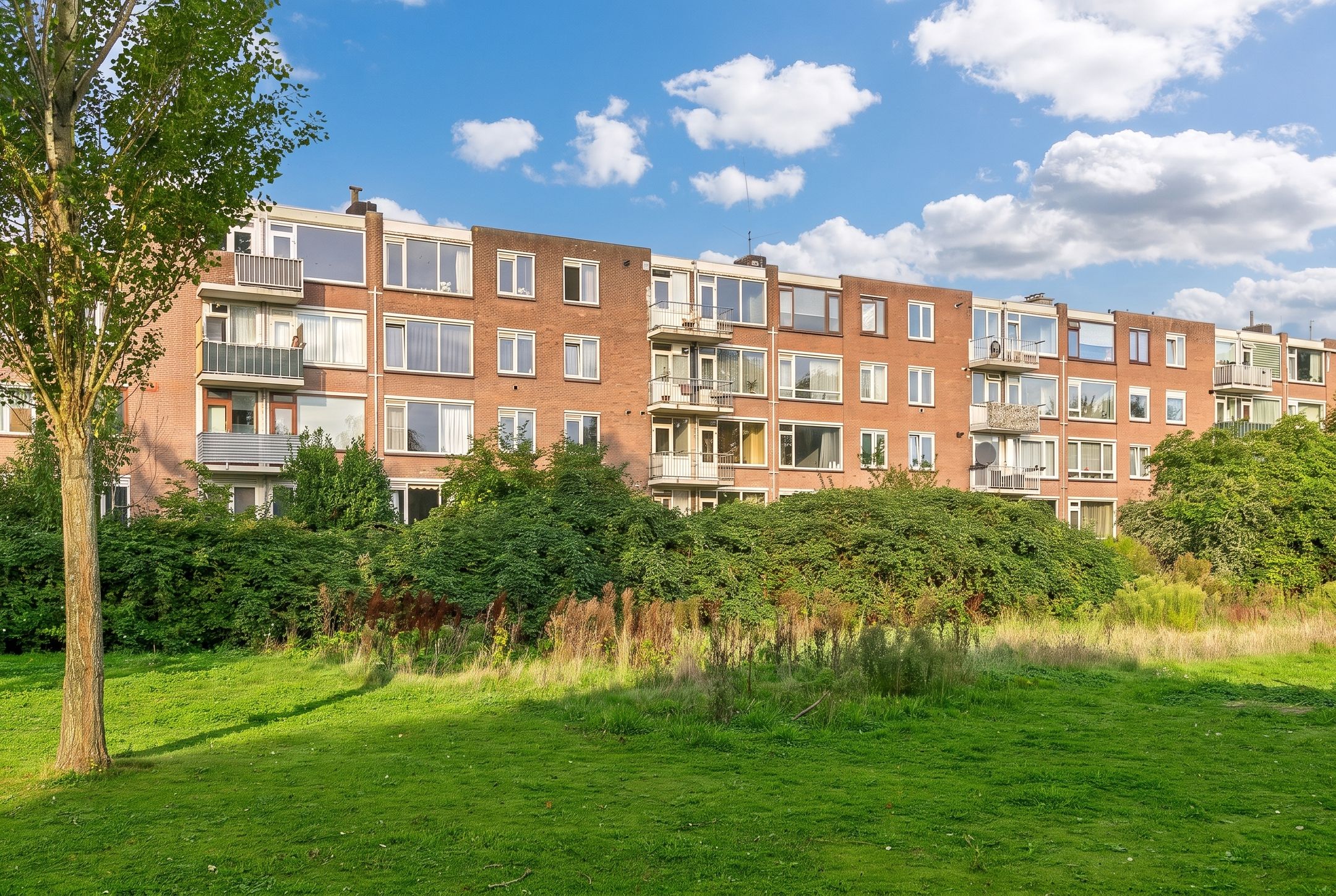 Foto van van Slingelandtstraat 17B, Vlaardingen