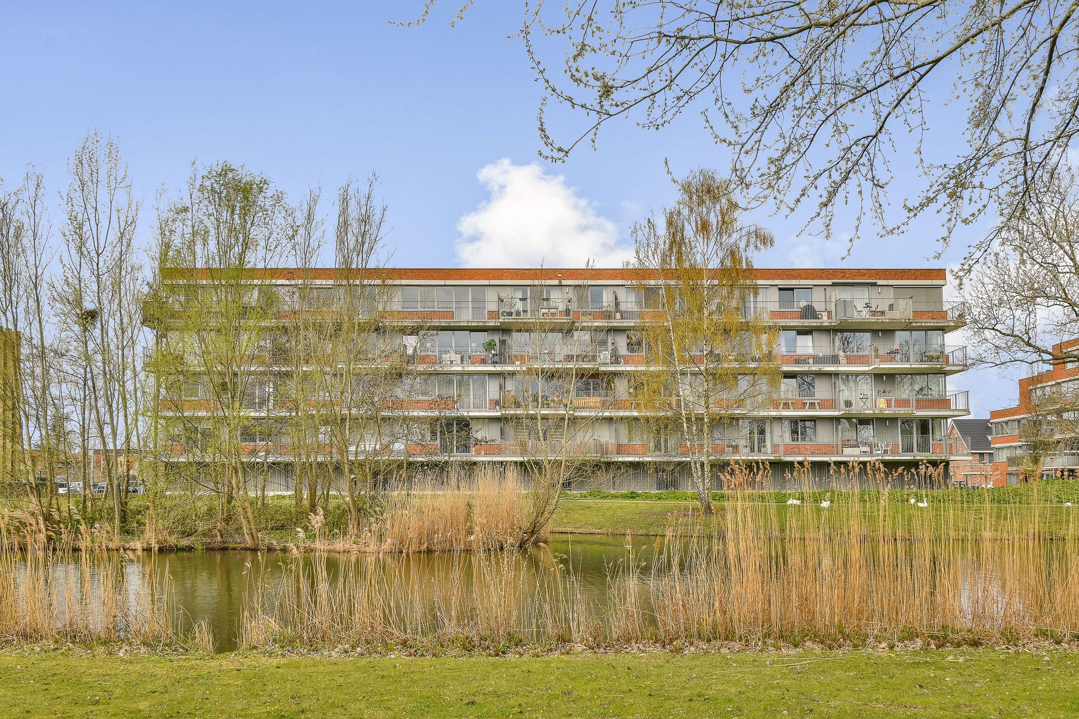 Foto van Johan de Wittstraat 185, Vlaardingen