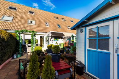 Foto van Vingerhoedskruid 6, Hoogvliet Rotterdam