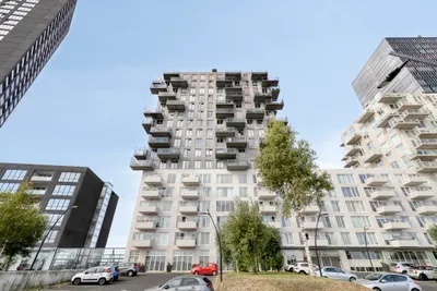Foto van Hongerlandsedijk 406, Spijkenisse