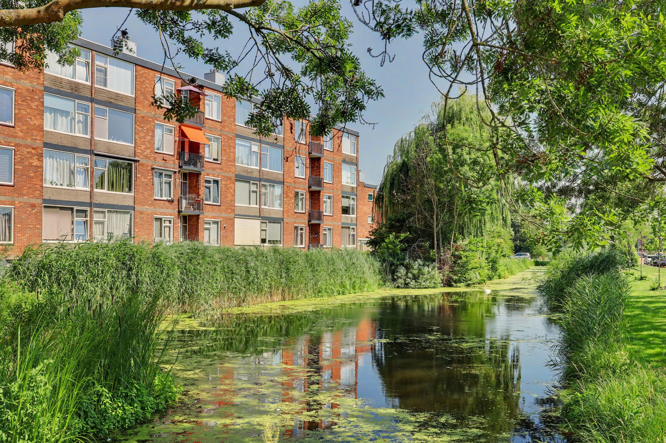 Foto van Menno ter Braakstraat 12A, Spijkenisse