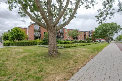 Foto van Sportlaan 9, Spijkenisse