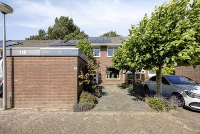 Foto van Snoekenveen 121, Spijkenisse