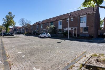 Foto van Pampasgras 17, Spijkenisse