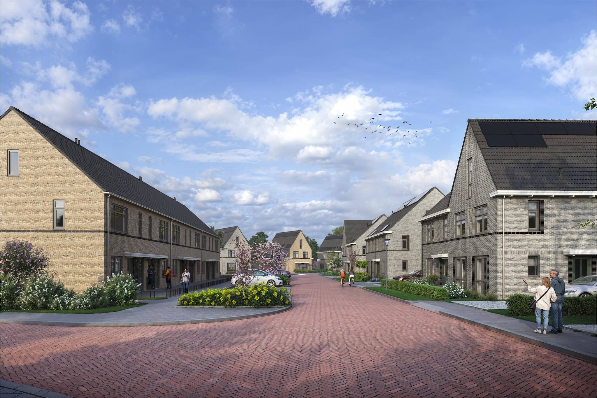 Foto van Muscaat 6, Zuidland