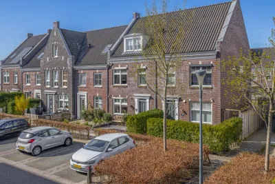 Foto van Forsythia 38, Dirksland