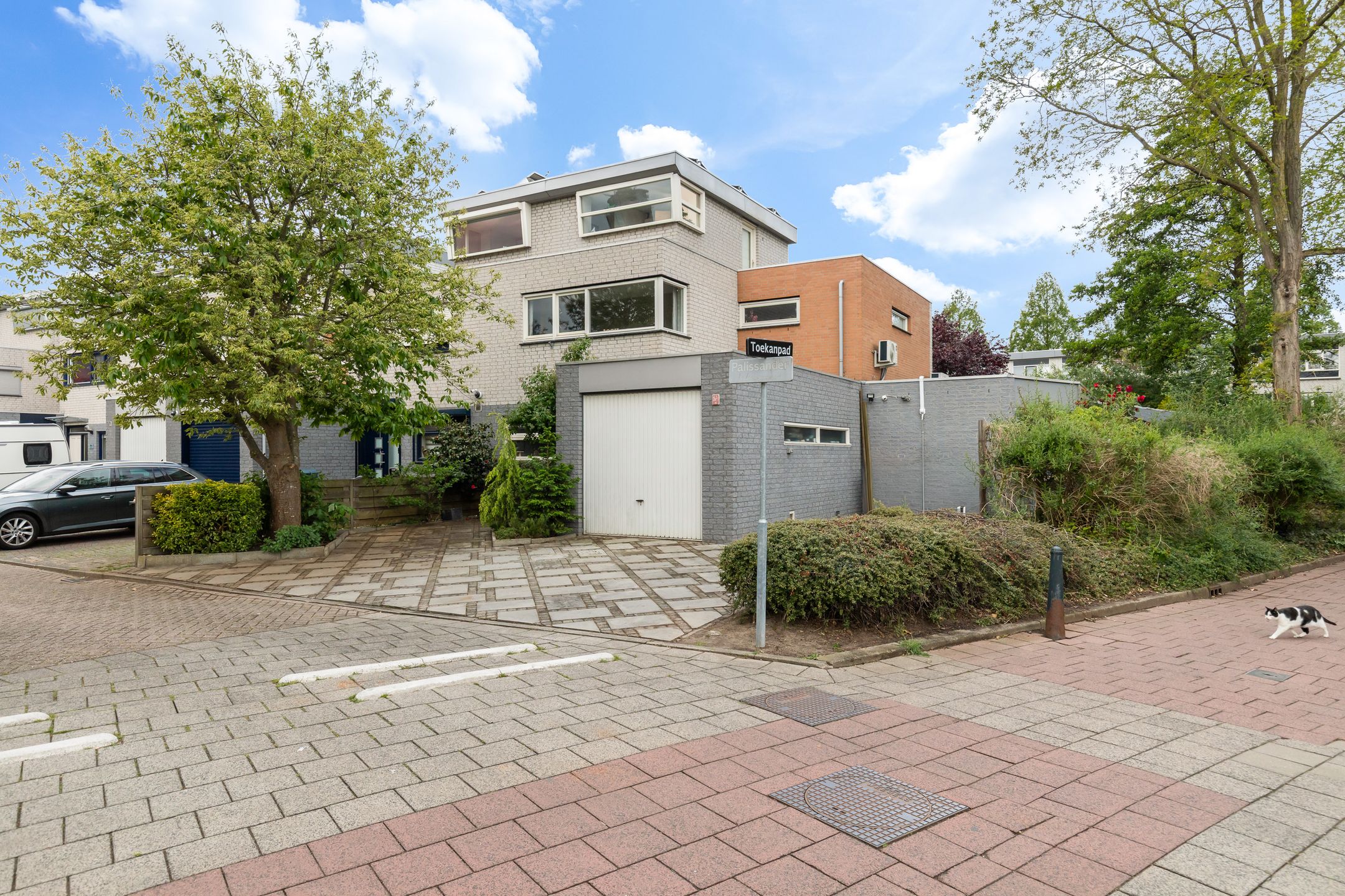 Foto van Palissander 389, Dordrecht