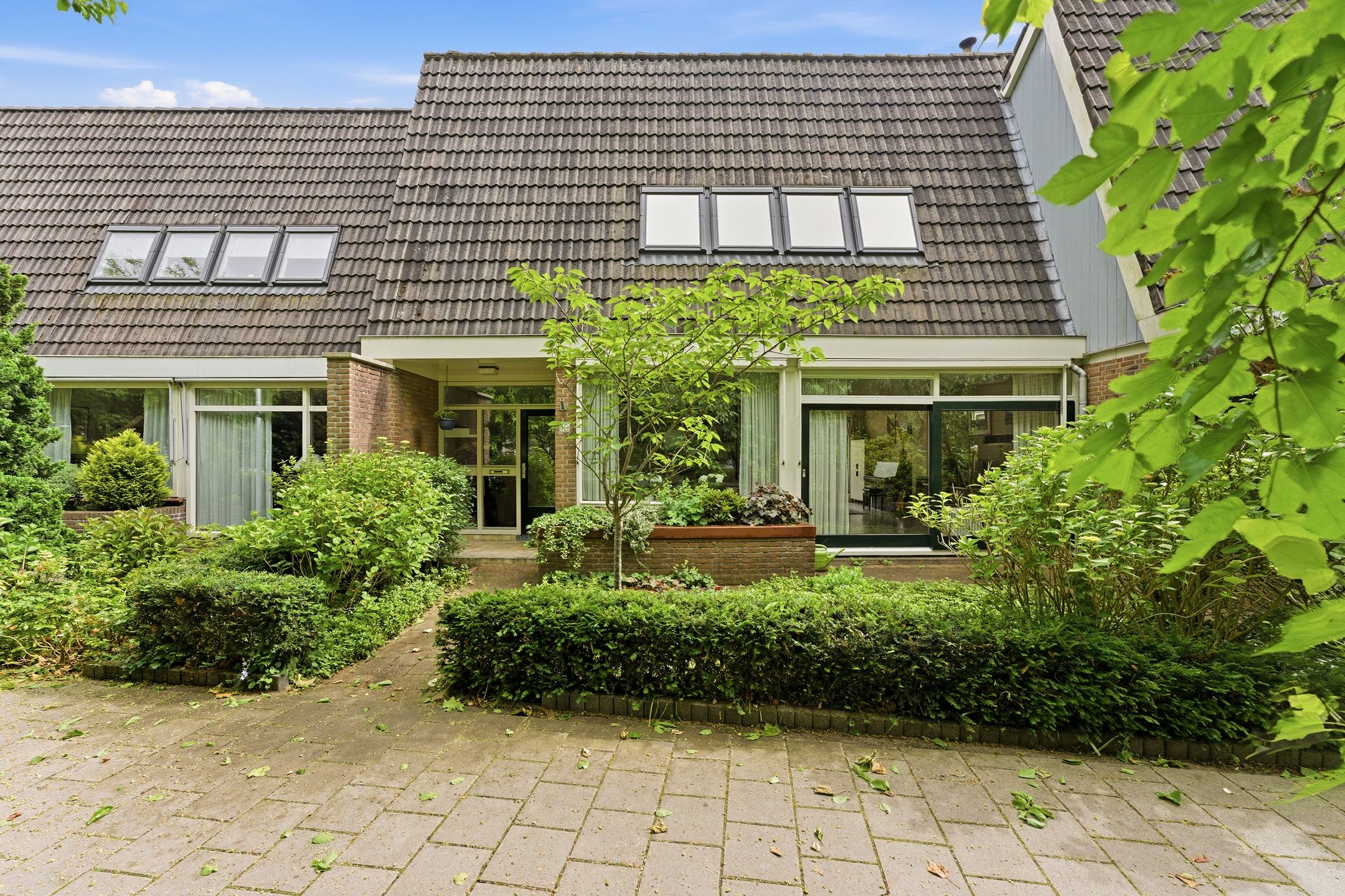 Foto van Campanula 10, Dordrecht