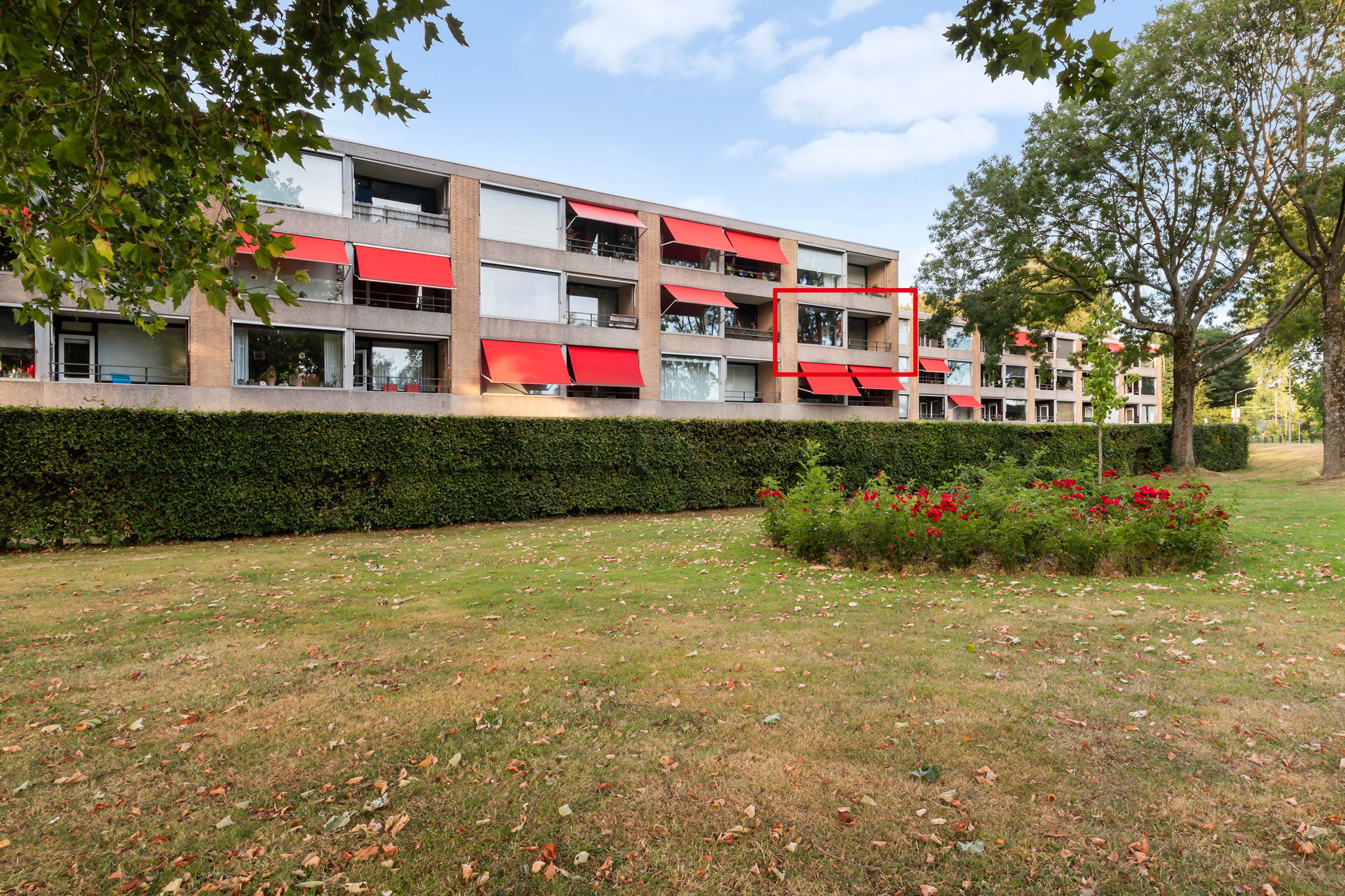 Foto van Campanula 84, Dordrecht